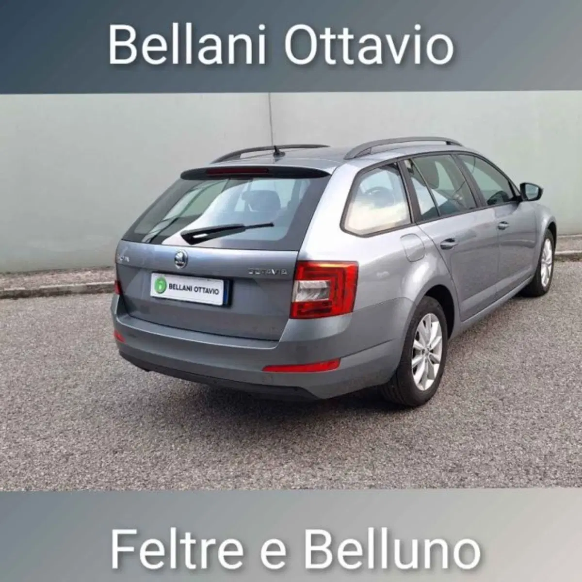 Skoda Octavia Station Wagon usata a Belluno (6)