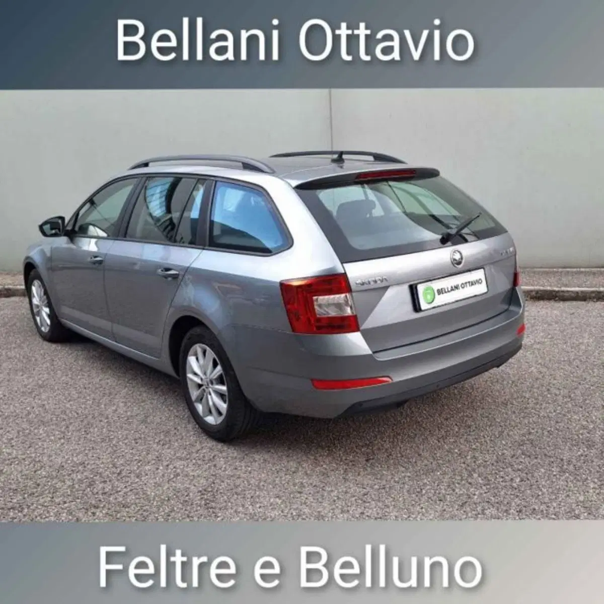 Skoda Octavia Station Wagon usata a Belluno (7)