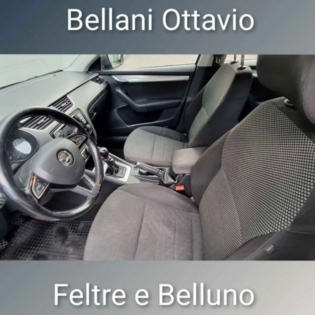 Skoda Octavia Station Wagon usata a Belluno (9)