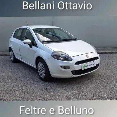 Fiat Punto 1.3 MJT II S&amp;S 85 CV 5 porte ECO Lounge del 2013 usata a Feltre
