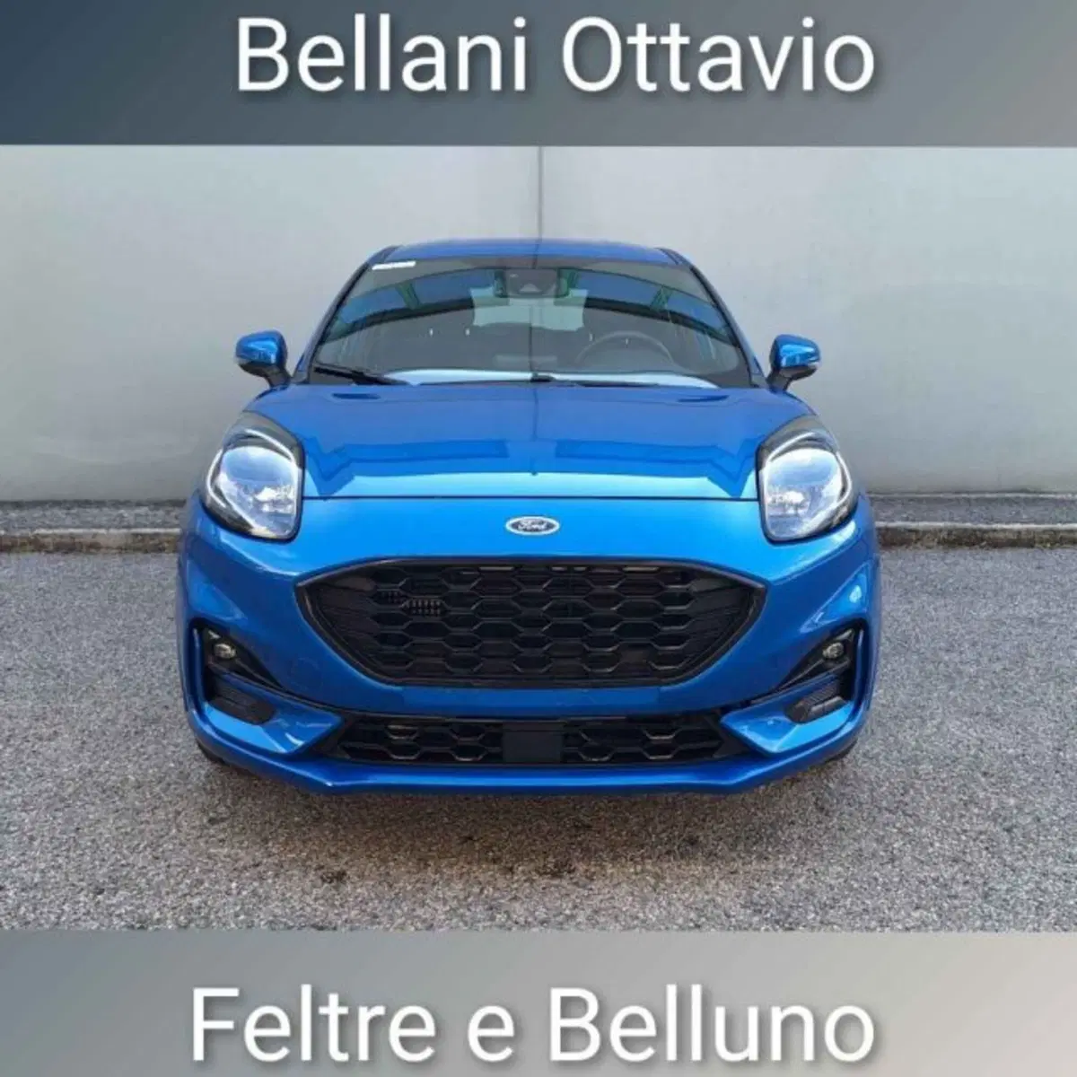 Ford Puma usata a Belluno (2)