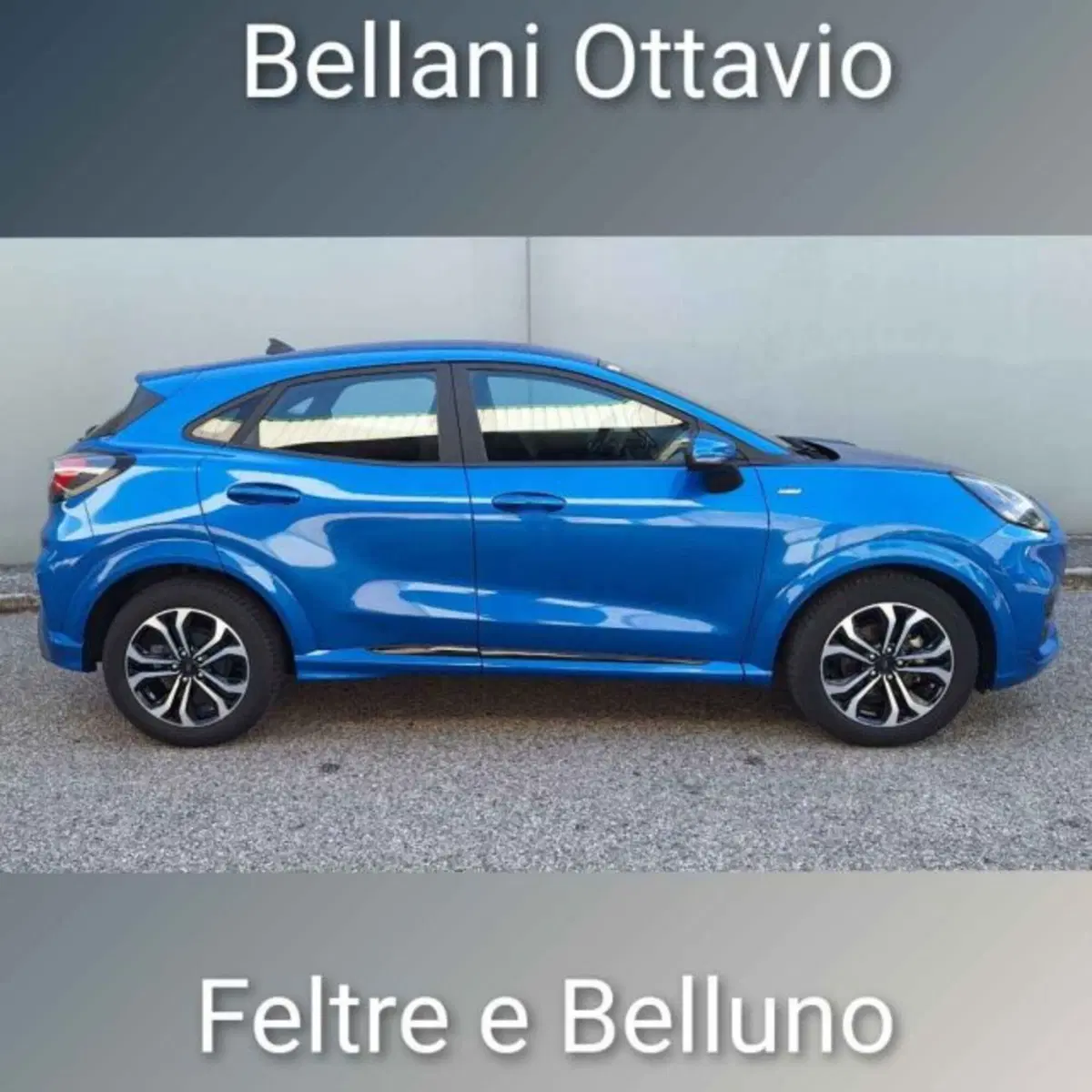 Ford Puma usata a Belluno (3)