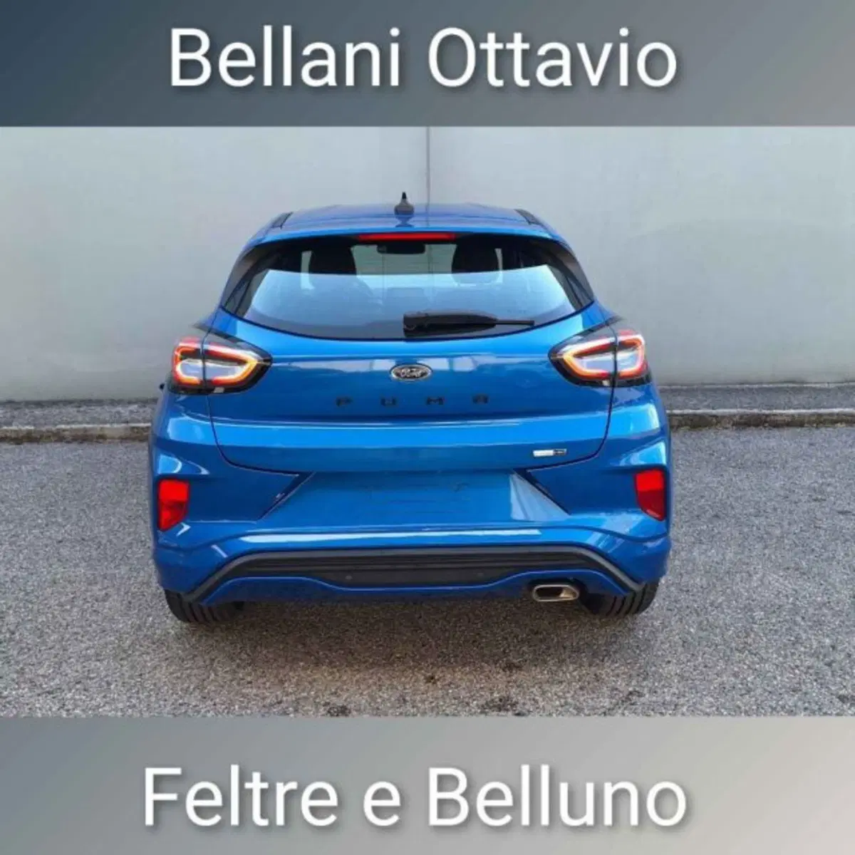 Ford Puma usata a Belluno (4)
