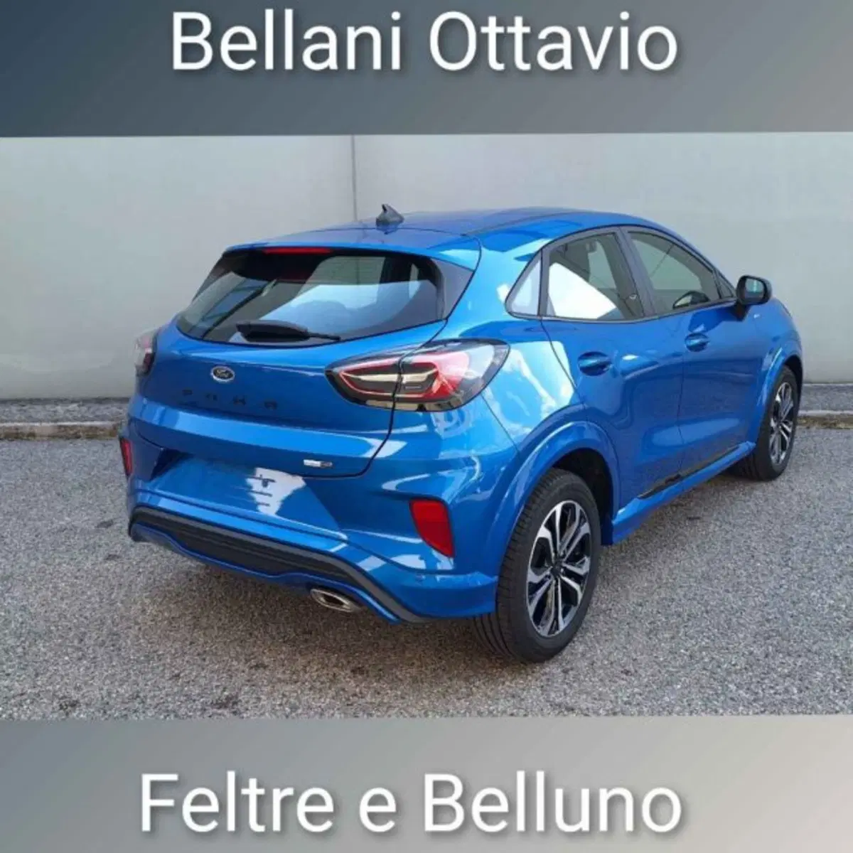 Ford Puma usata a Belluno (5)