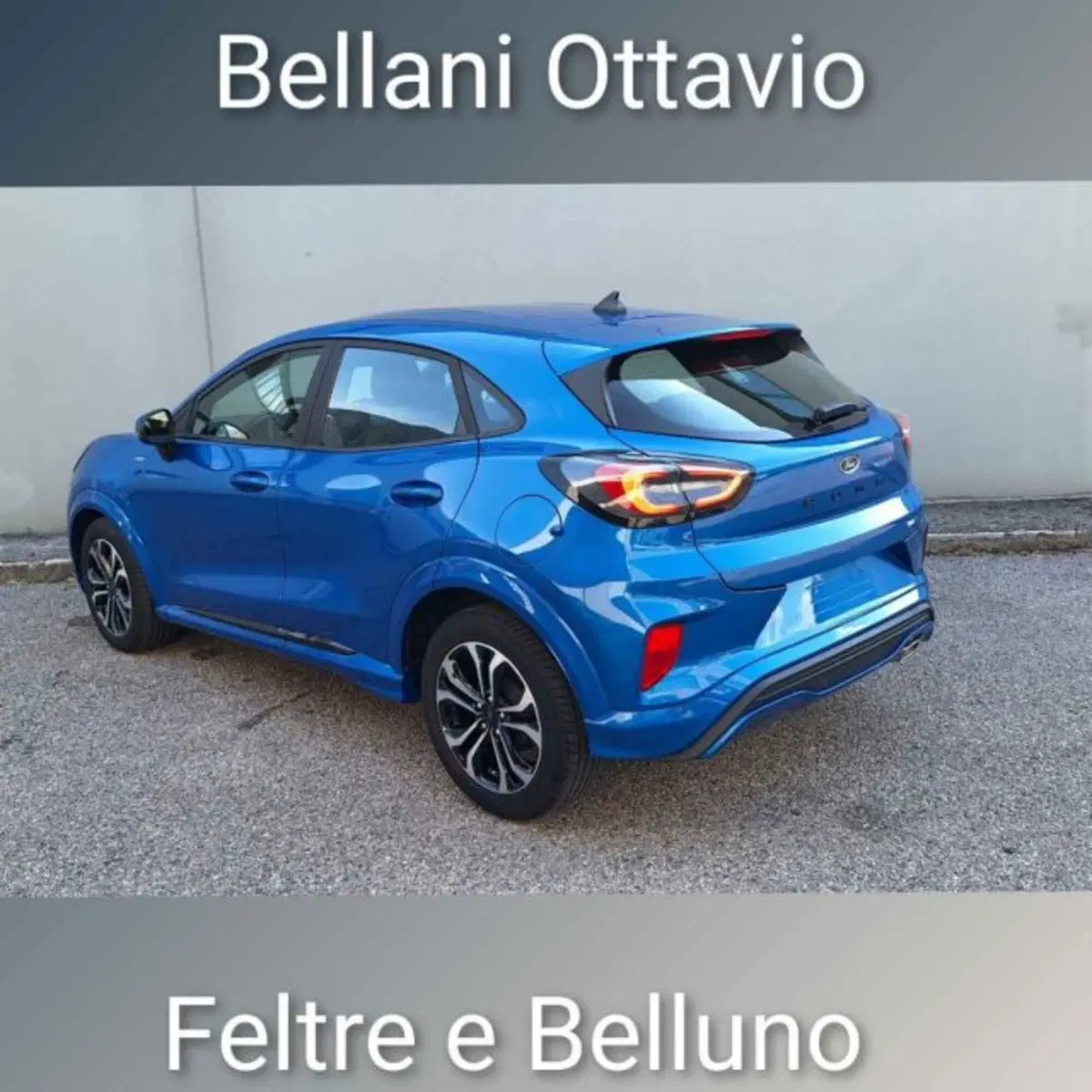 Ford Puma usata a Belluno (6)