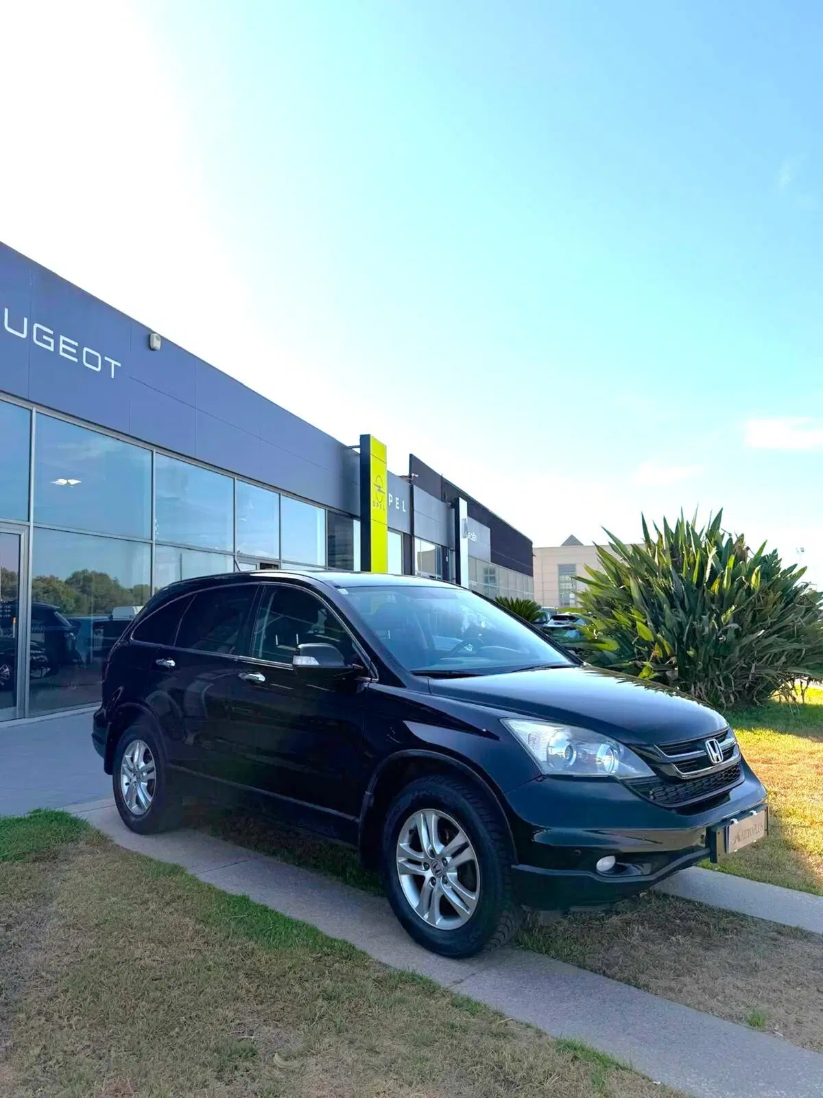 Honda CR-V usata a Sassari (18)