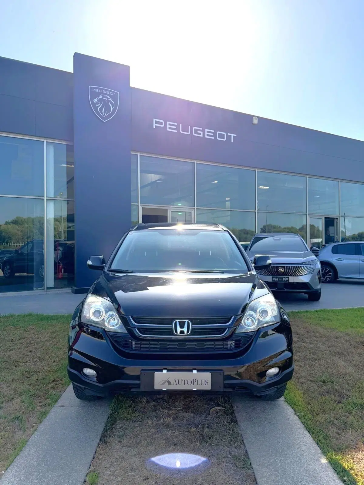 Honda CR-V usata a Sassari (9)