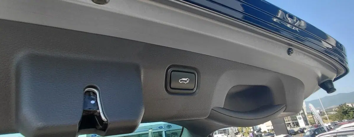 Kia Sportage usata a Cosenza (19)