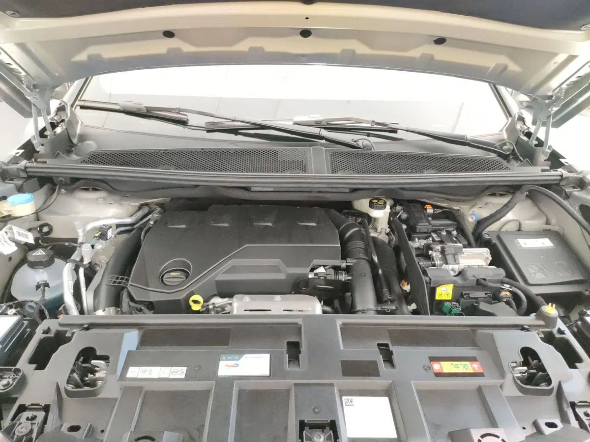 Opel Grandland nuova a L'Aquila (10)