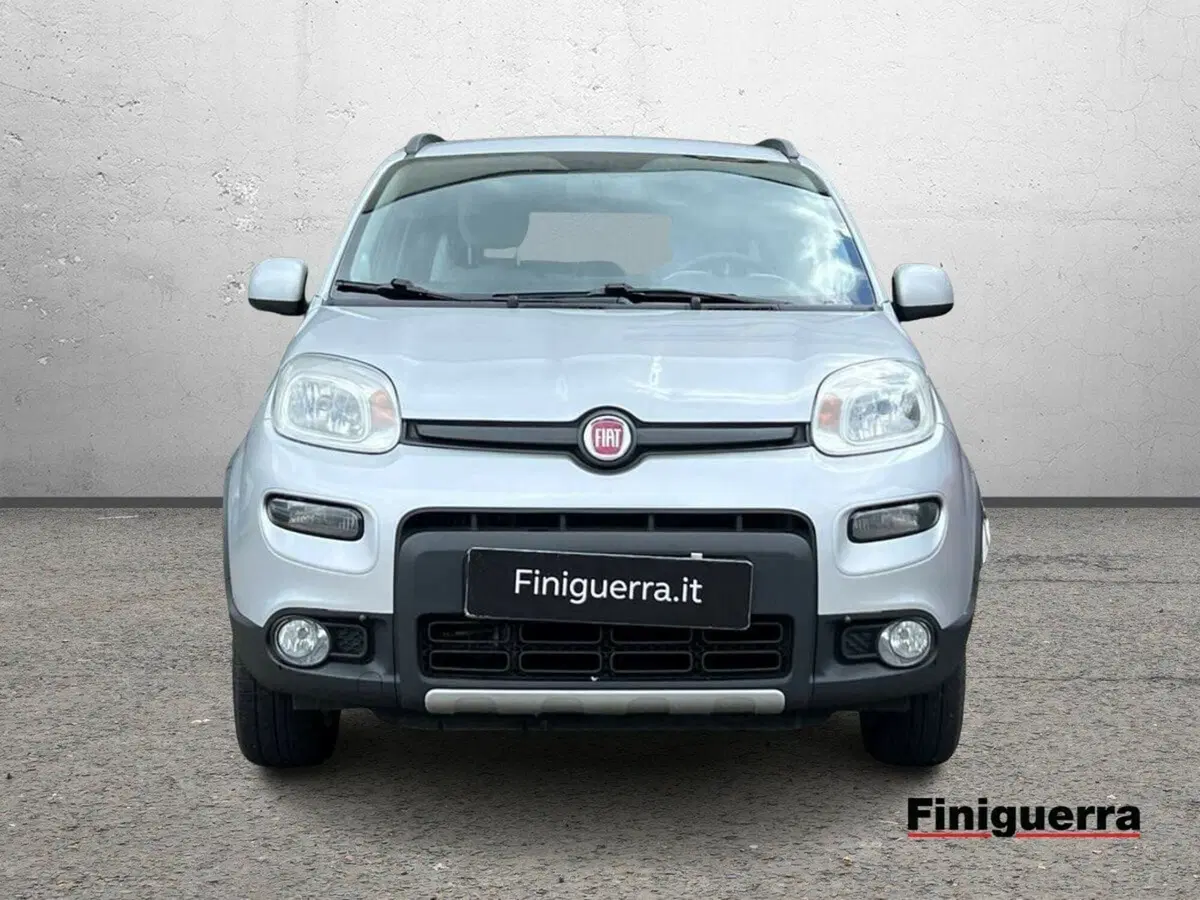 Fiat Panda usata a Sondrio (2)