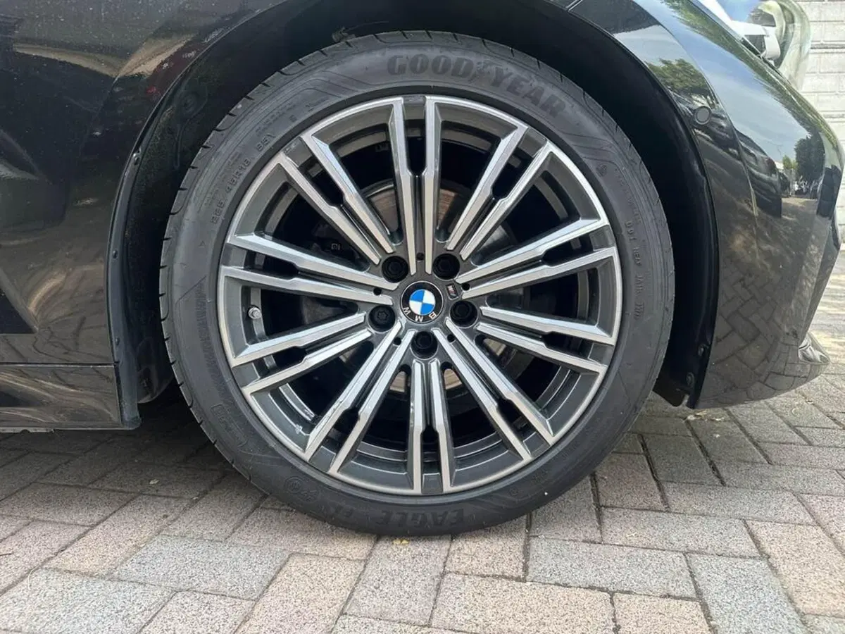 BMW Serie 3 usata a Alessandria (11)