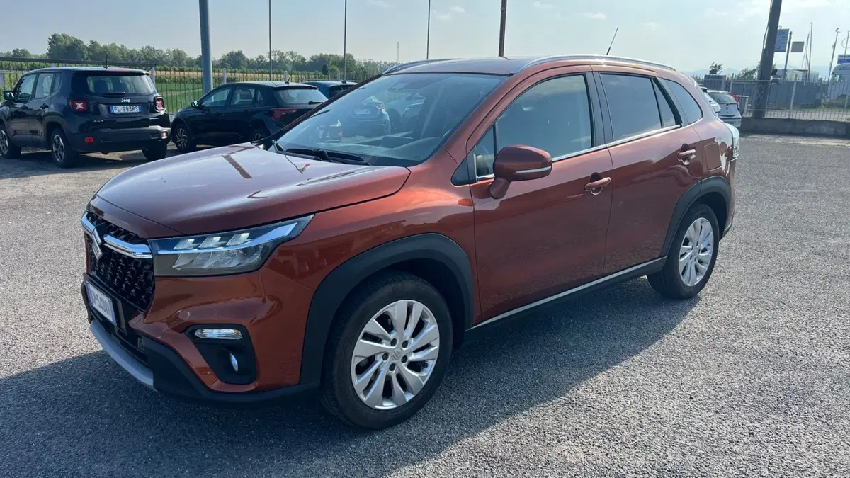Suzuki S-Cross usata a Alessandria (2)