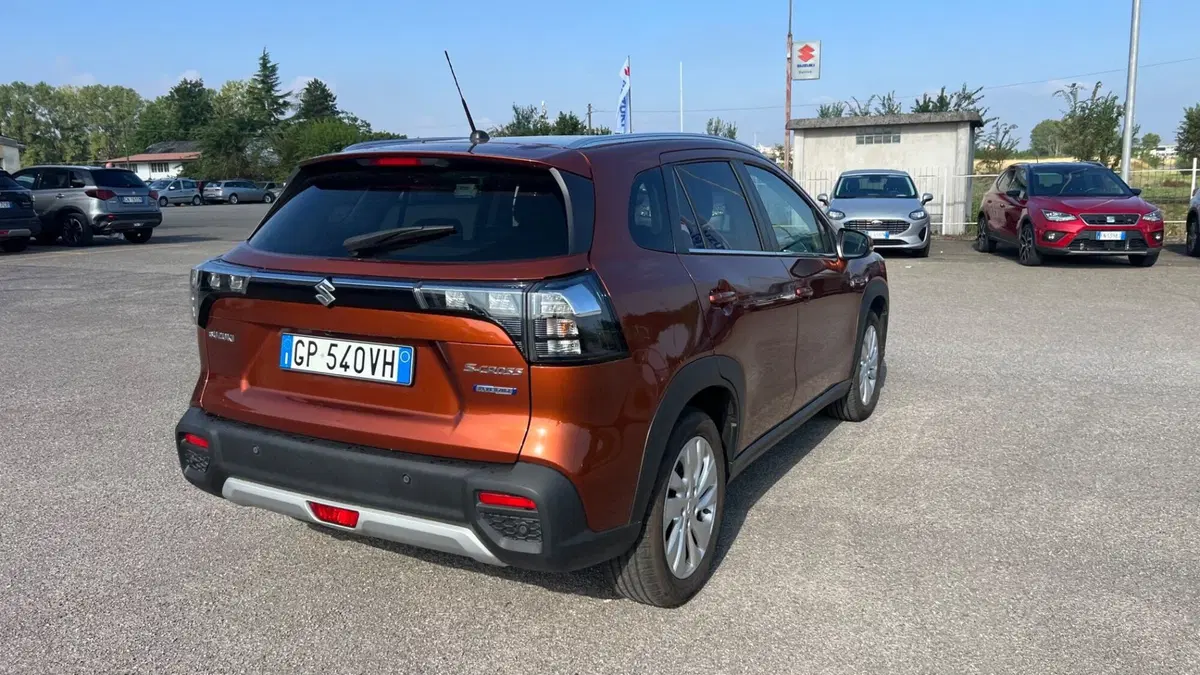 Suzuki S-Cross usata a Alessandria (7)