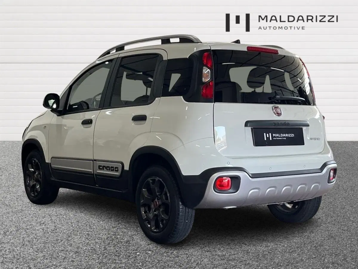 Fiat Panda Cross usata a Bari (4)
