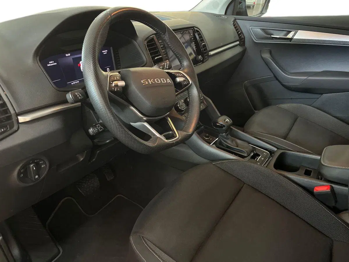 Skoda Karoq usata a Bari (10)