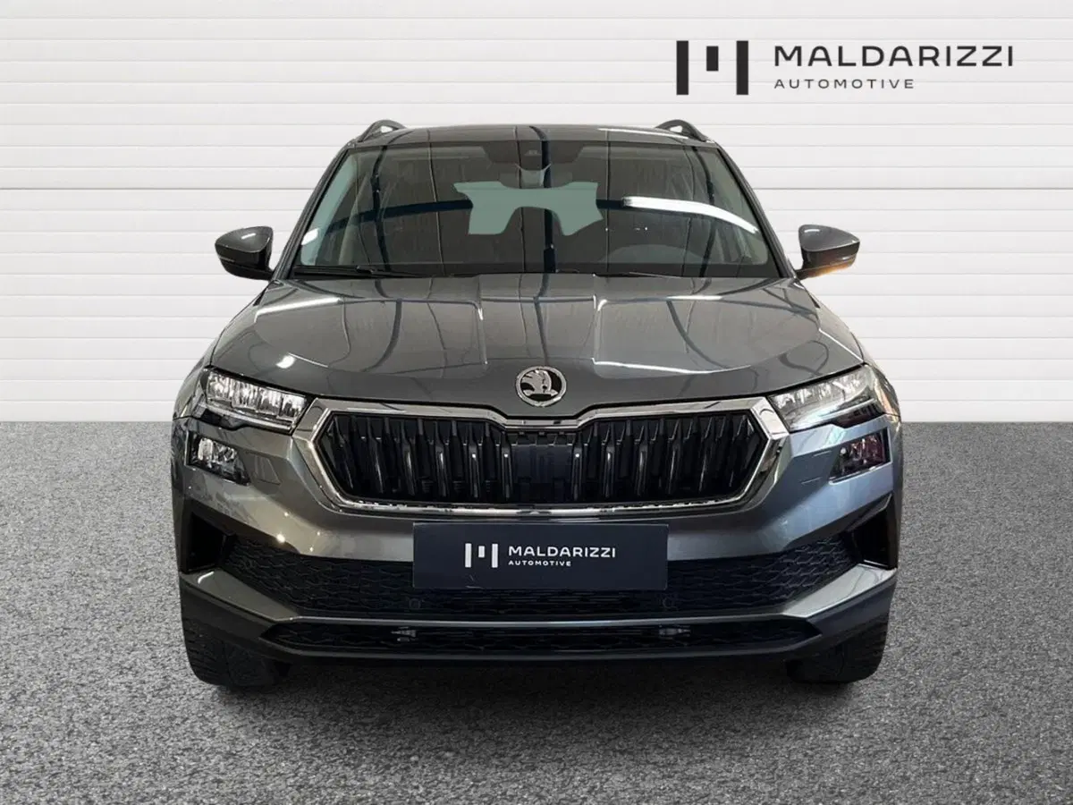 Skoda Karoq usata a Bari (2)