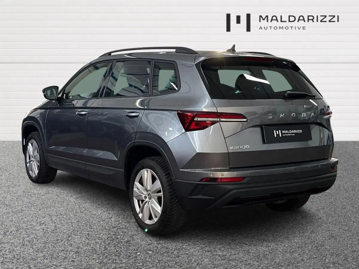 Skoda Karoq usata a Bari (4)
