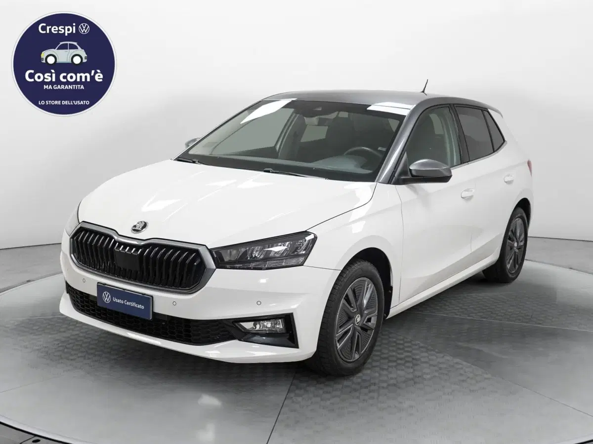 Skoda Fabia usata a Varese