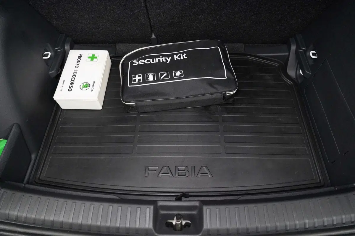 Skoda Fabia usata a Varese (20)