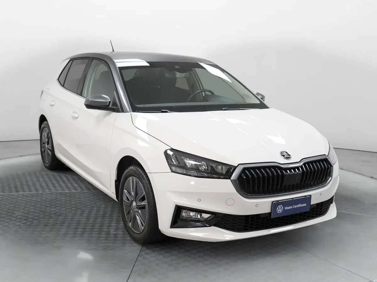 Skoda Fabia usata a Varese (3)