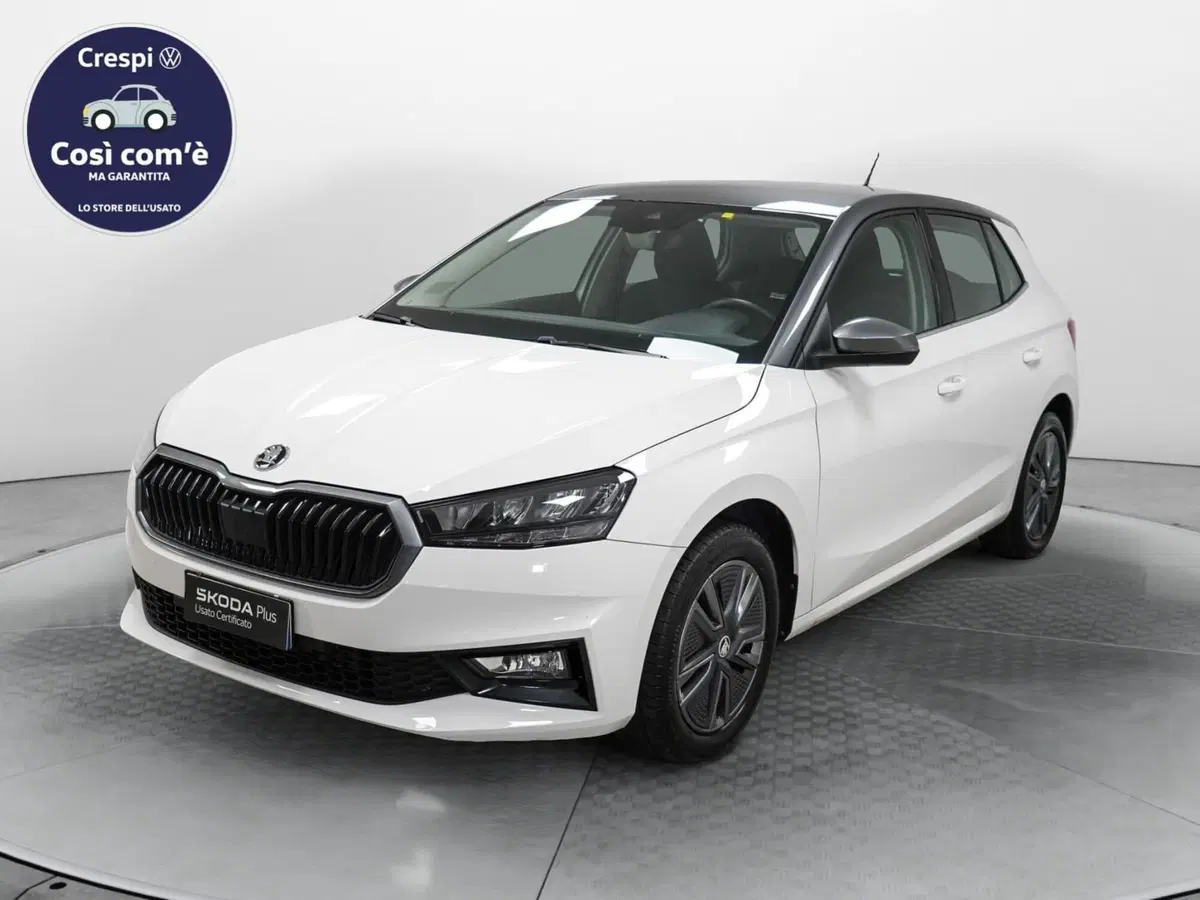 Skoda Fabia usata a Varese