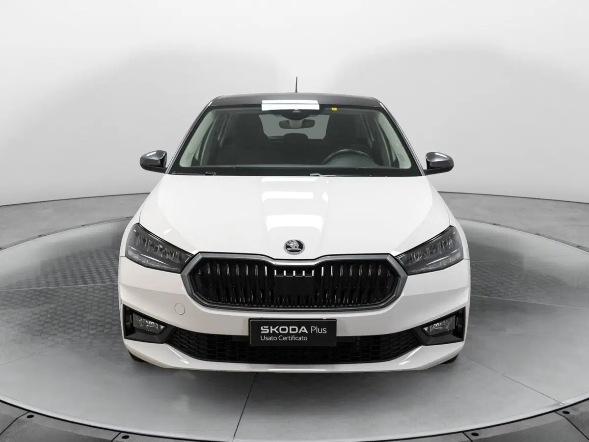 Skoda Fabia usata a Varese (2)