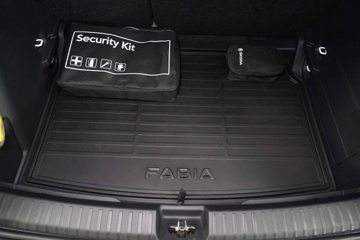 Skoda Fabia usata a Varese (20)