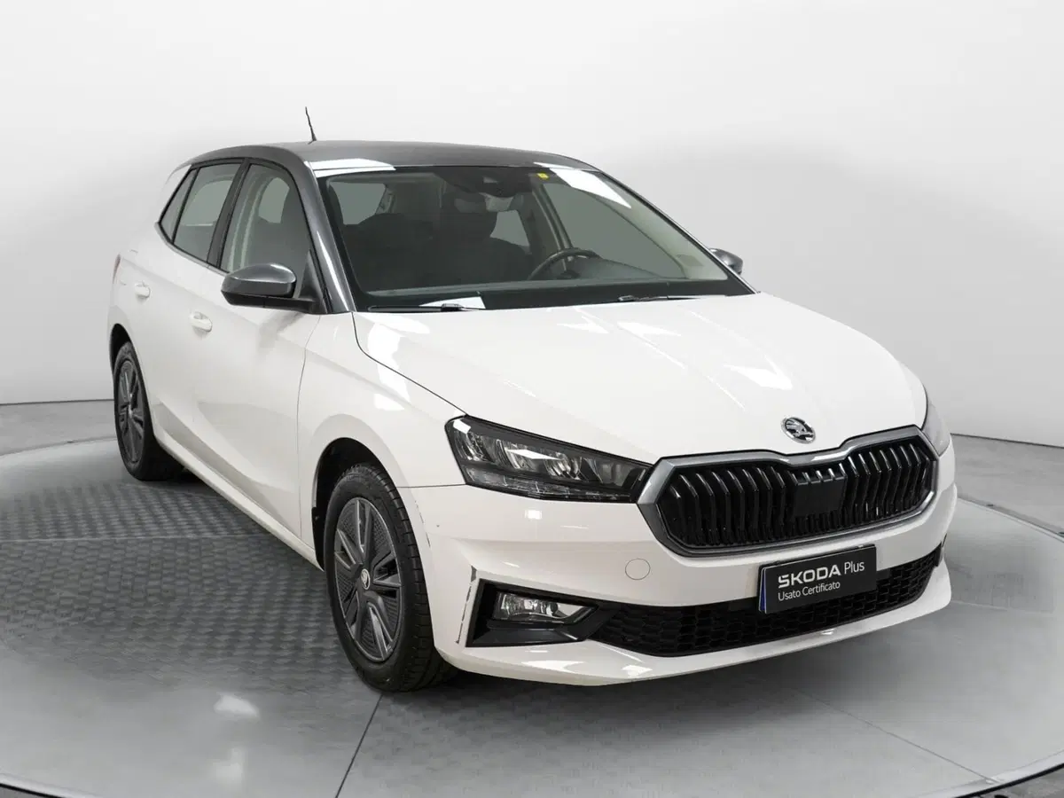 Skoda Fabia usata a Varese (3)
