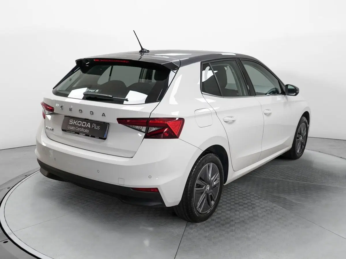 Skoda Fabia usata a Varese (6)