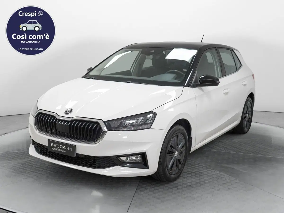 Skoda Fabia usata a Varese