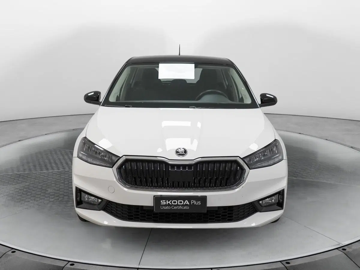 Skoda Fabia usata a Varese (2)