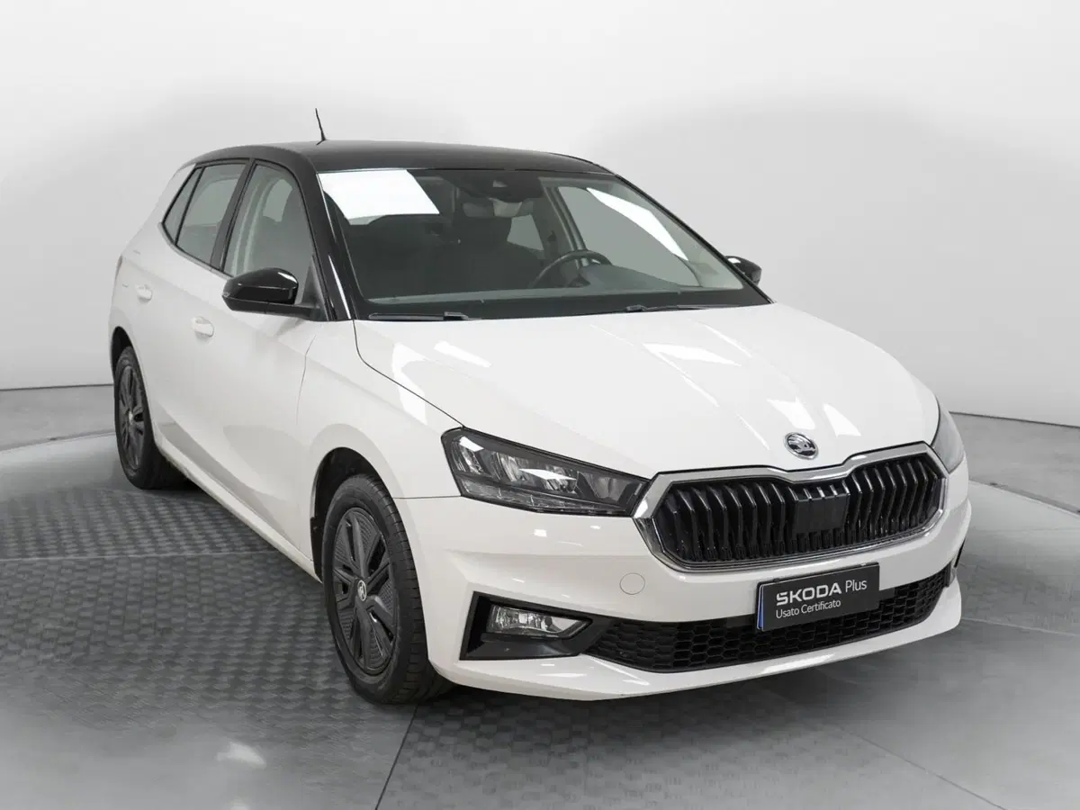 Skoda Fabia usata a Varese (3)