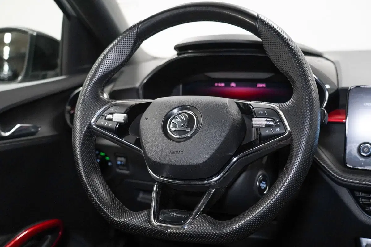 Skoda Fabia usata a Varese (12)