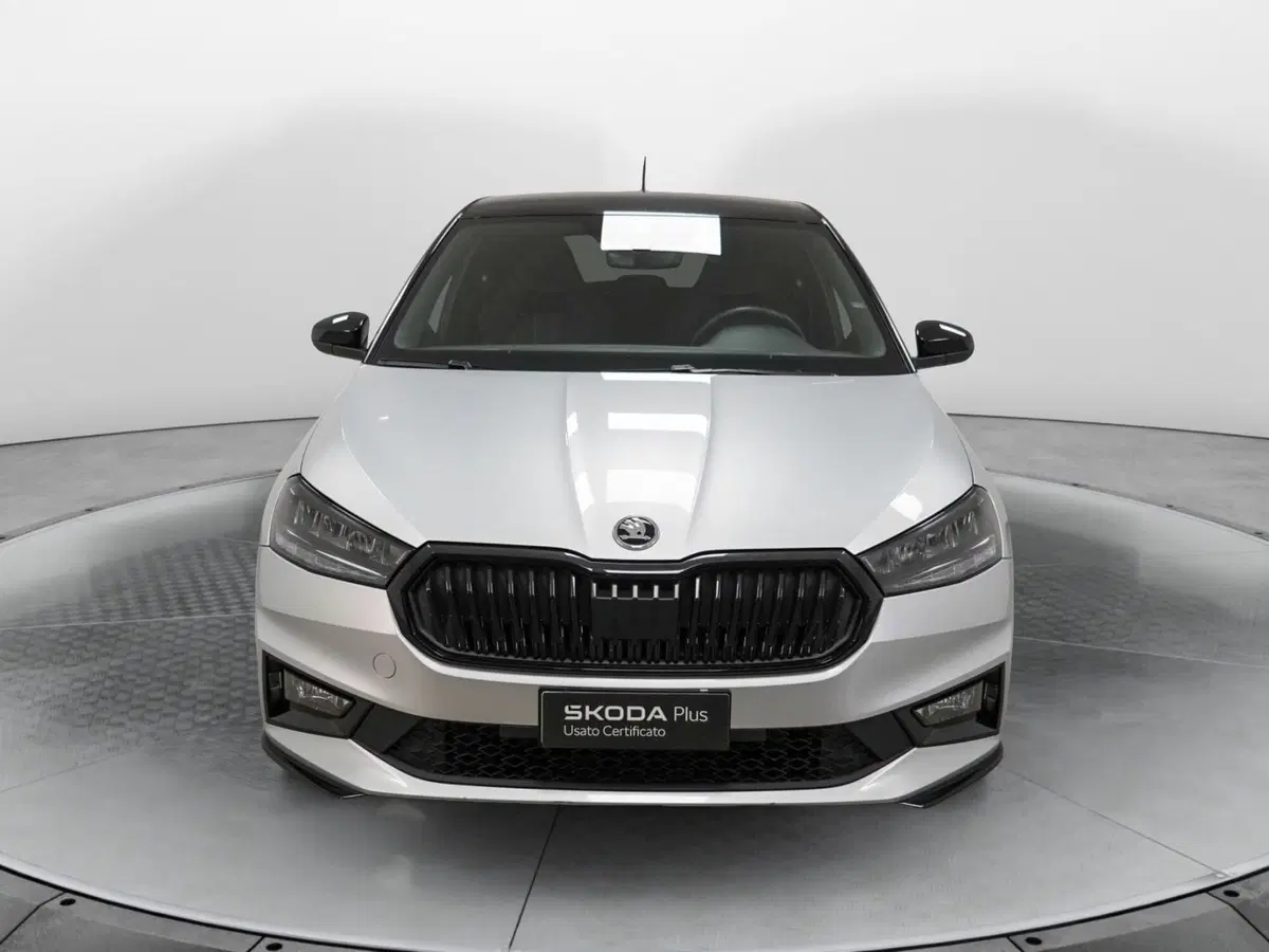 Skoda Fabia usata a Varese (2)