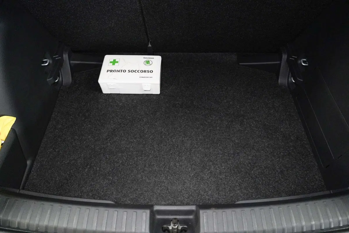 Skoda Fabia usata a Varese (20)