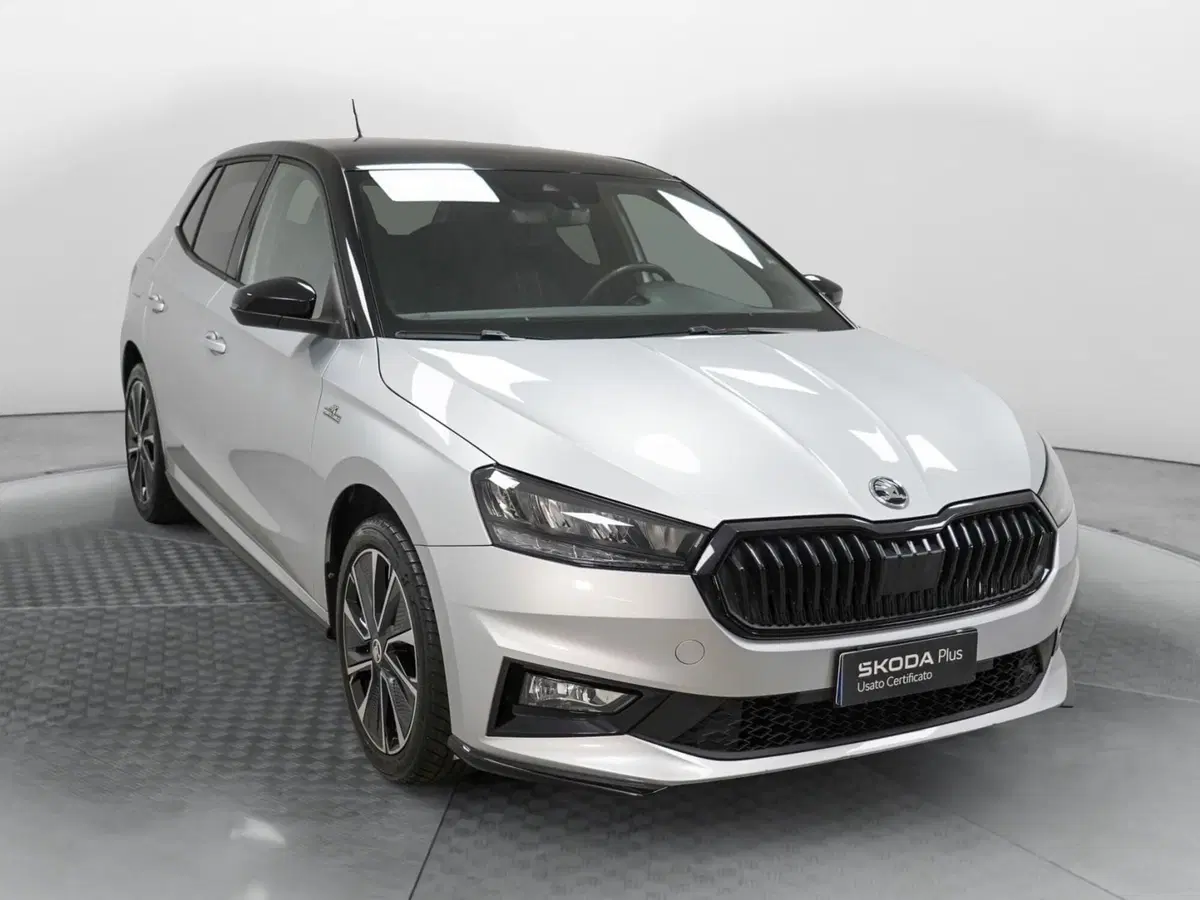 Skoda Fabia usata a Varese (3)