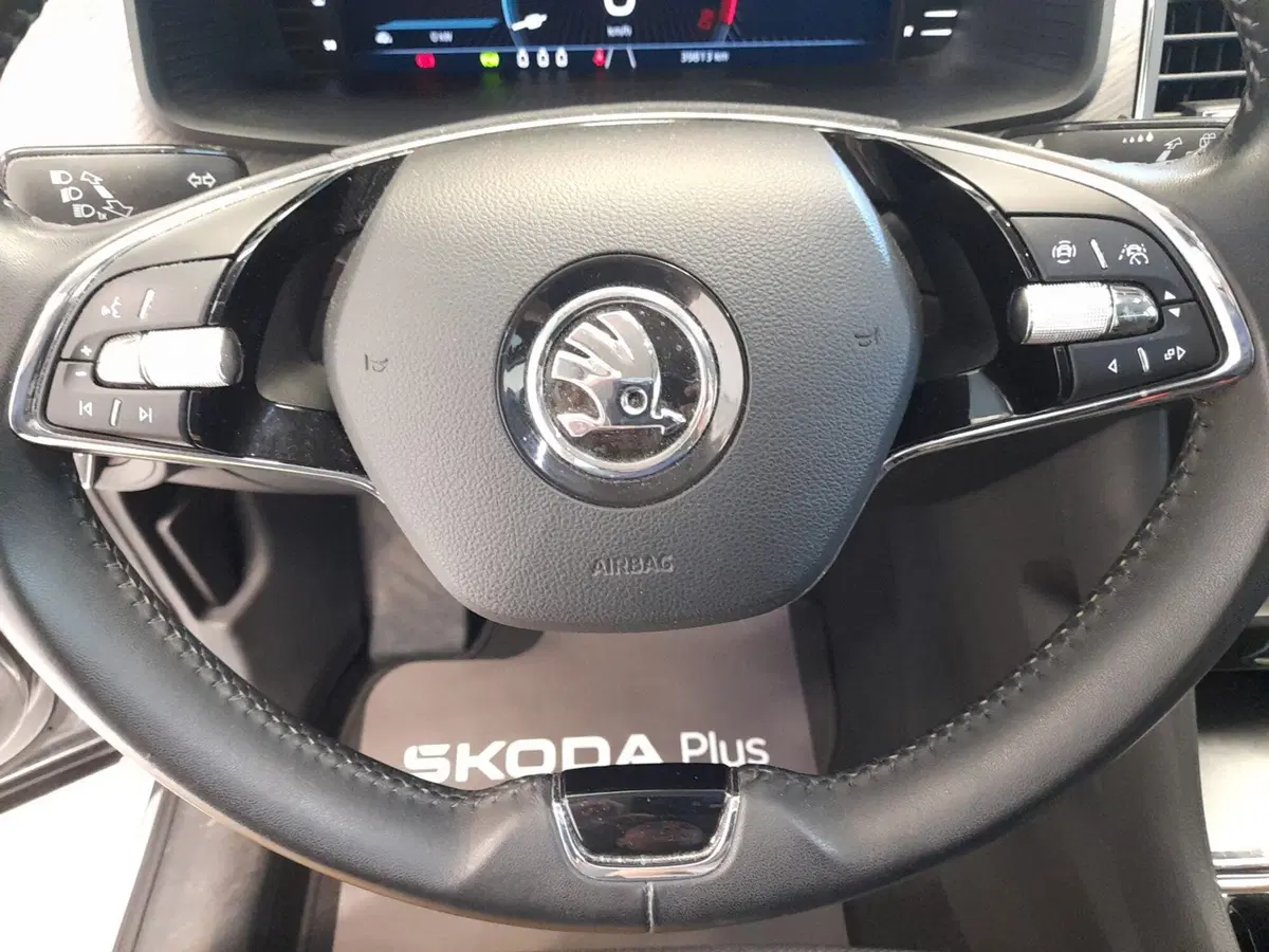 Skoda Kodiaq usata a Bologna (11)