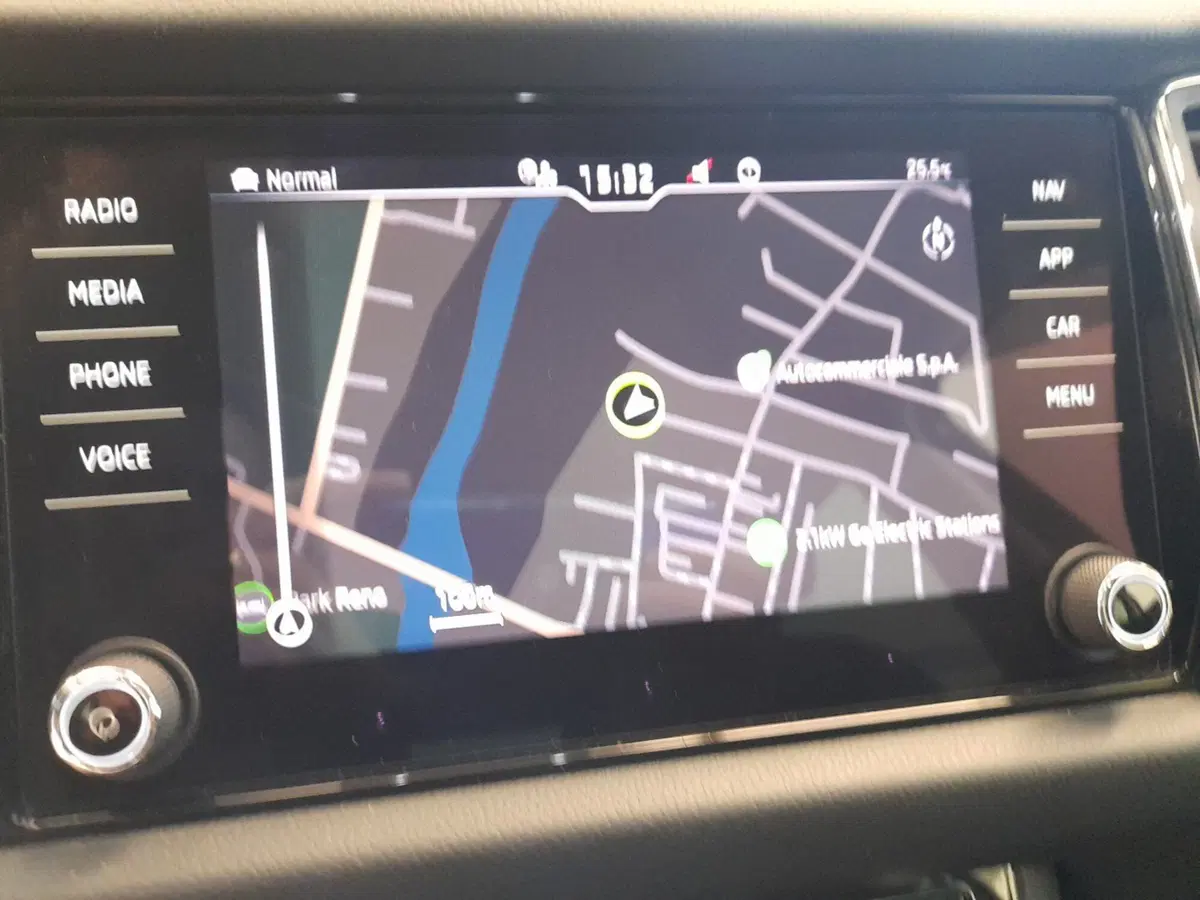 Skoda Kodiaq usata a Bologna (14)