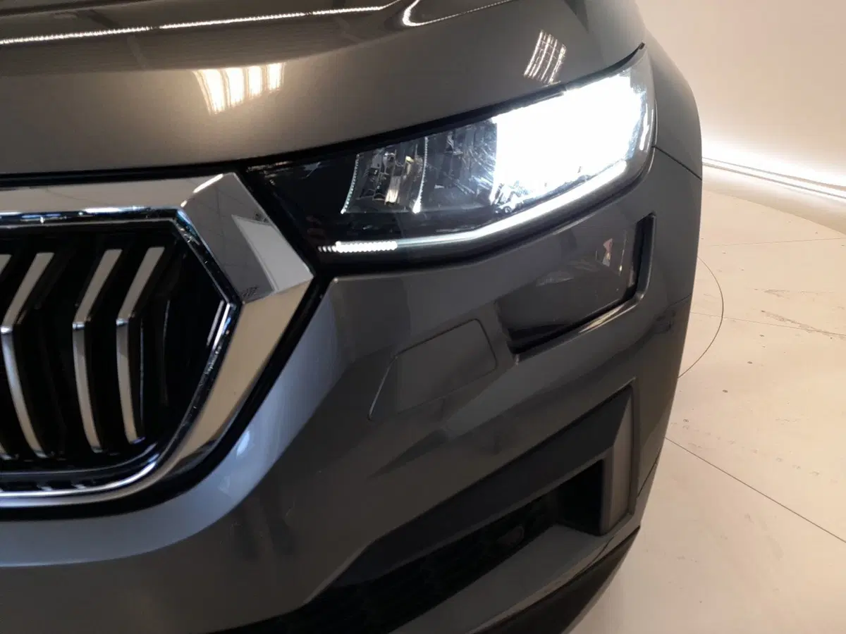 Skoda Kodiaq usata a Bologna (7)