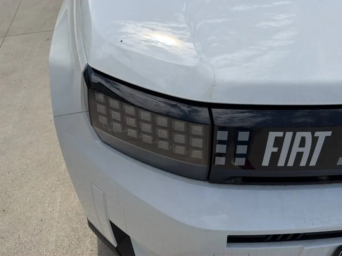 Fiat Grande Panda nuova a Frosinone (12)