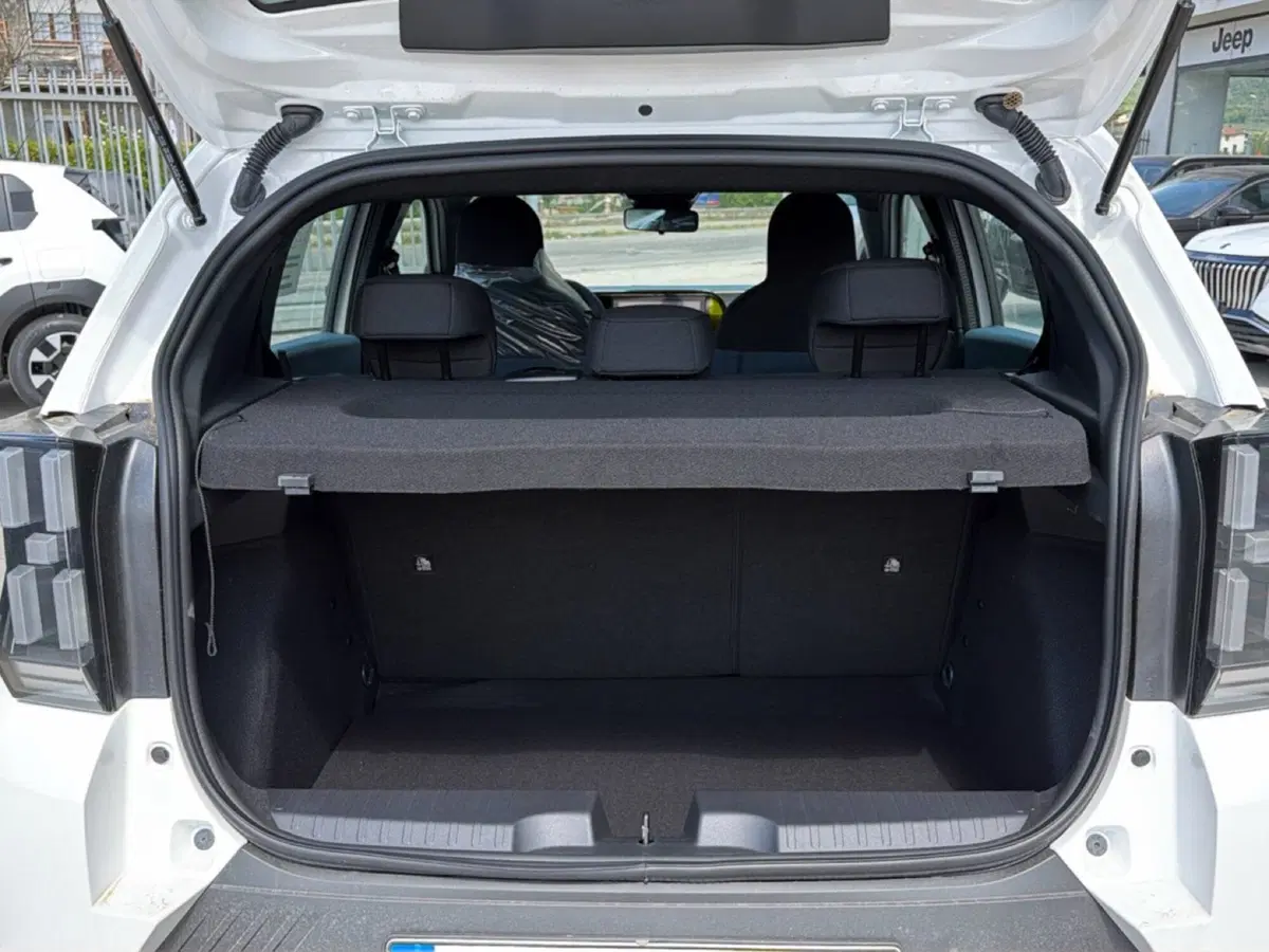 Fiat Grande Panda nuova a Frosinone (14)
