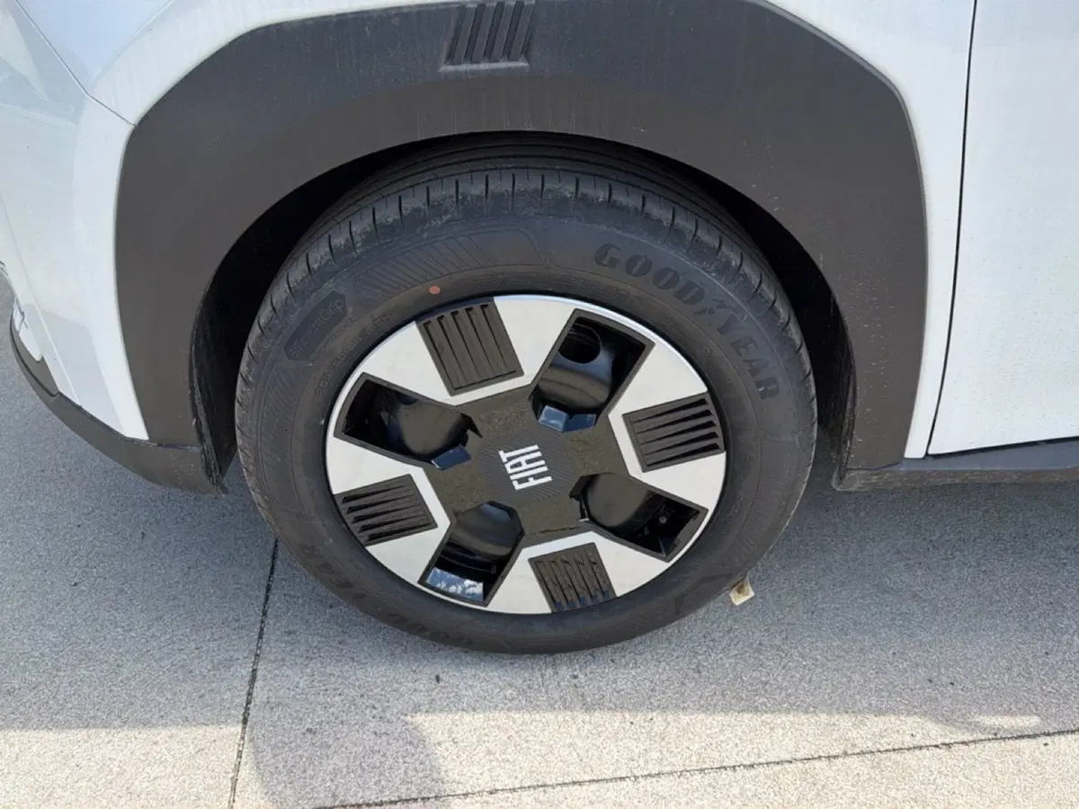 Fiat Grande Panda nuova a Frosinone (15)