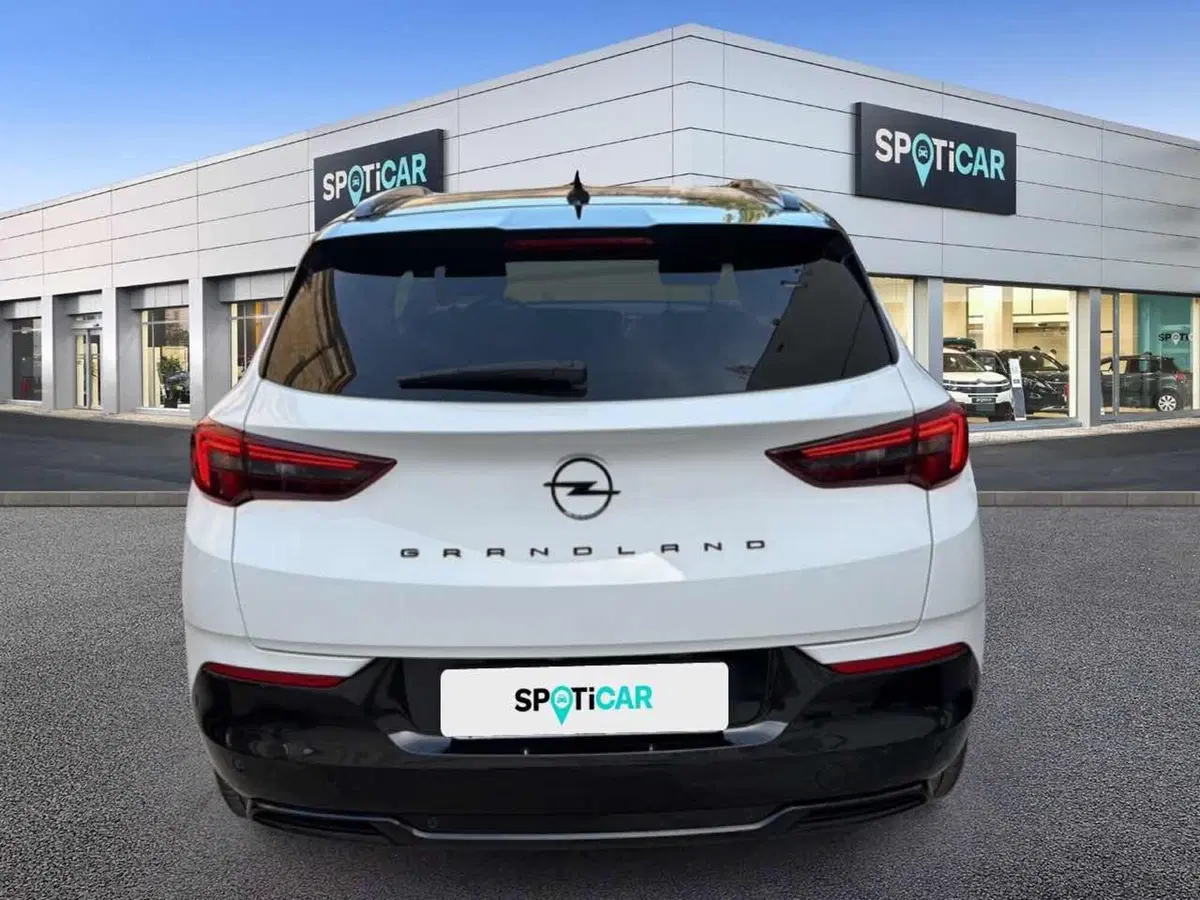 Opel Grandland usata a Foggia (2)