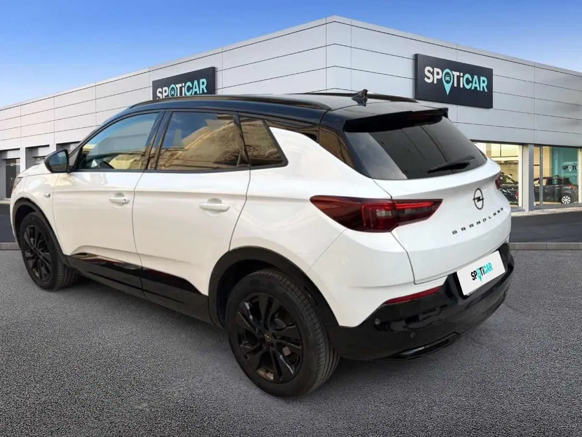 Opel Grandland usata a Foggia (5)