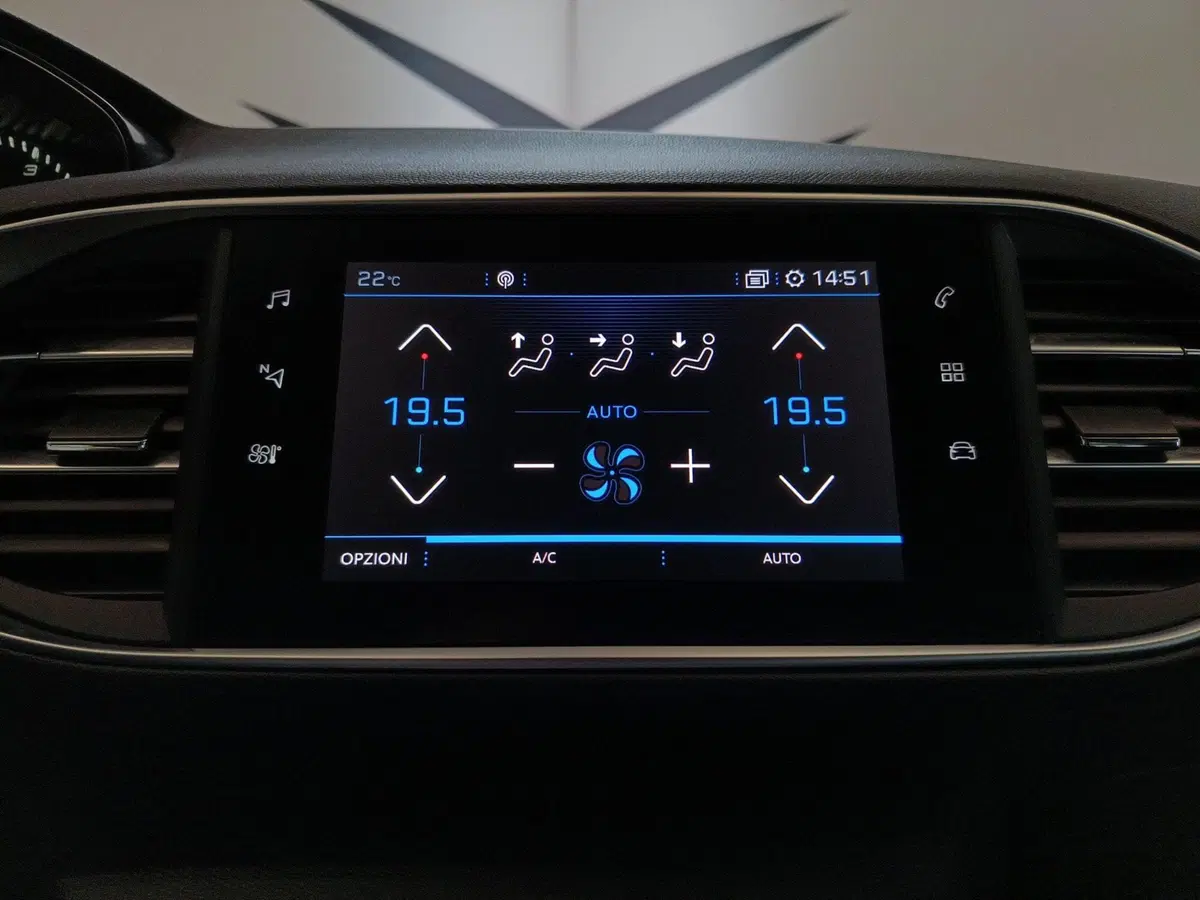 Peugeot 308 SW usata a Varese (14)