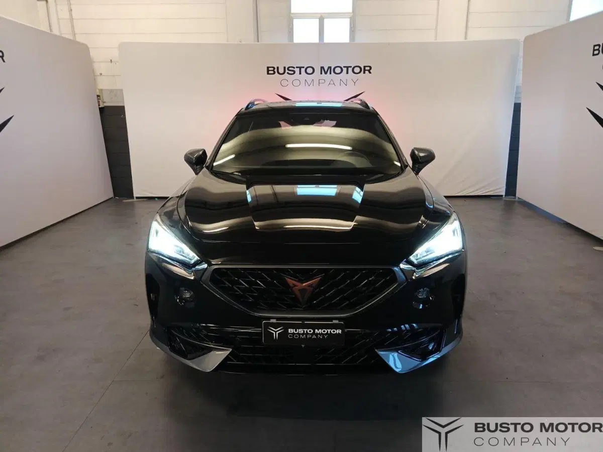 Cupra Formentor usata a Varese (2)