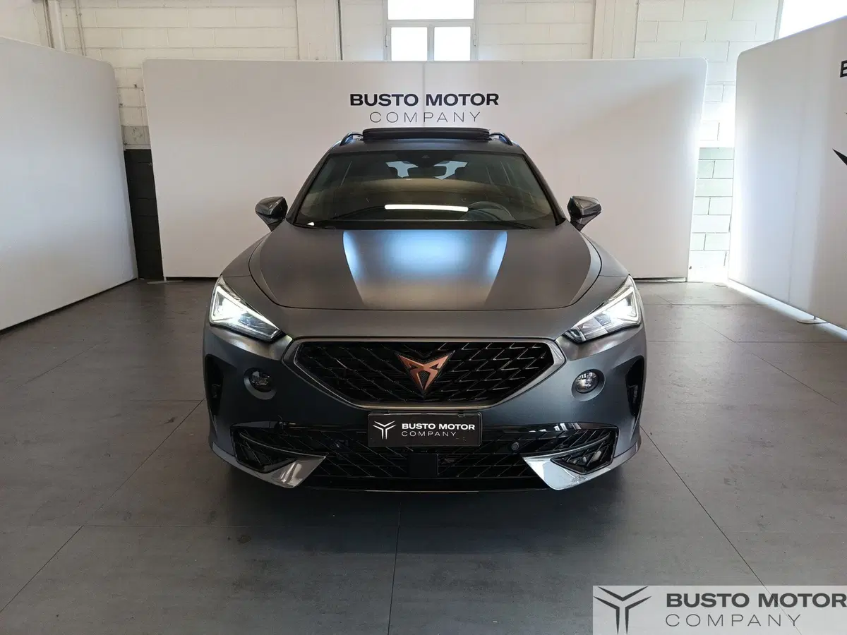 Cupra Formentor usata a Varese (2)