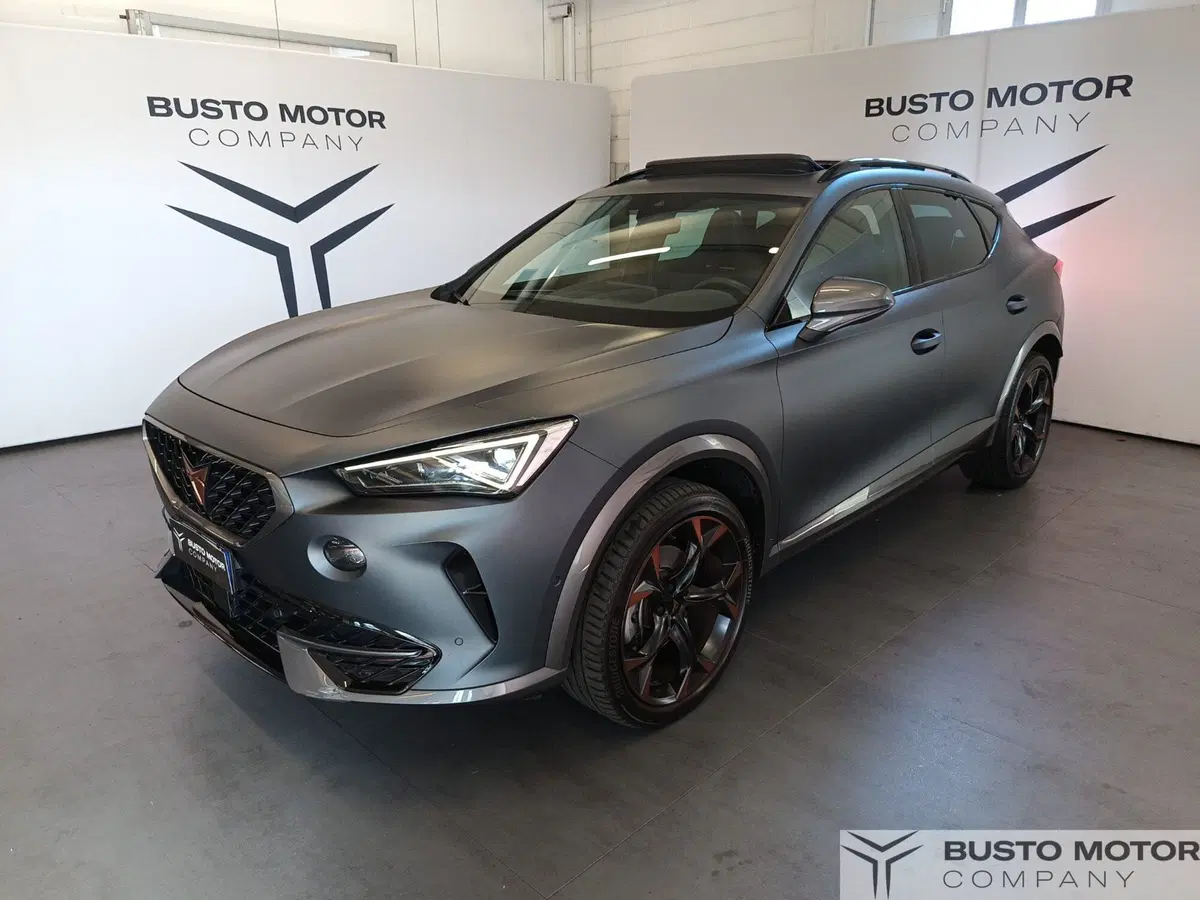 Cupra Formentor usata a Varese (3)