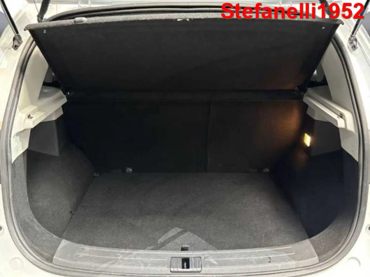 Mg ZS usata a Bologna (7)
