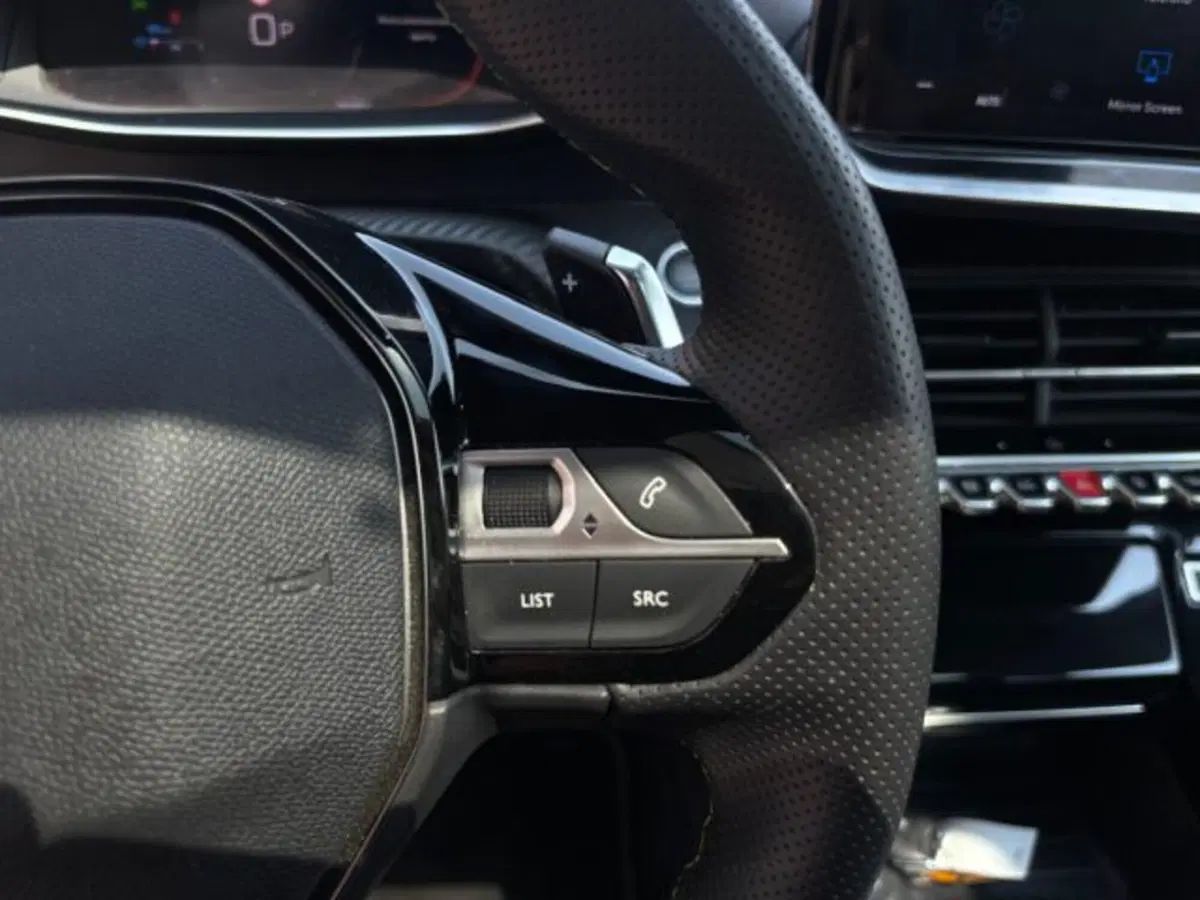 Peugeot 208 usata a Cuneo (15)